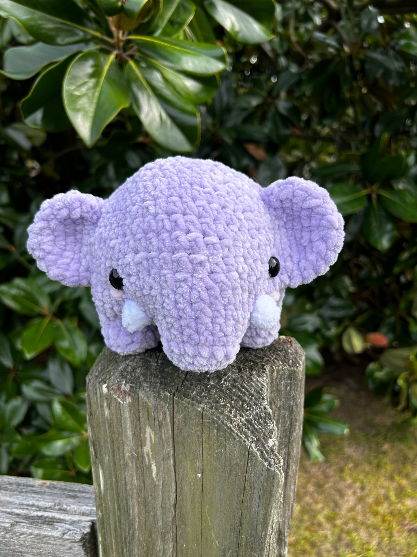 elephant plushie